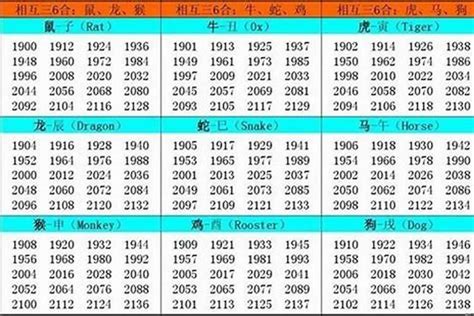 1989年是什么命|1989年出生是什么命